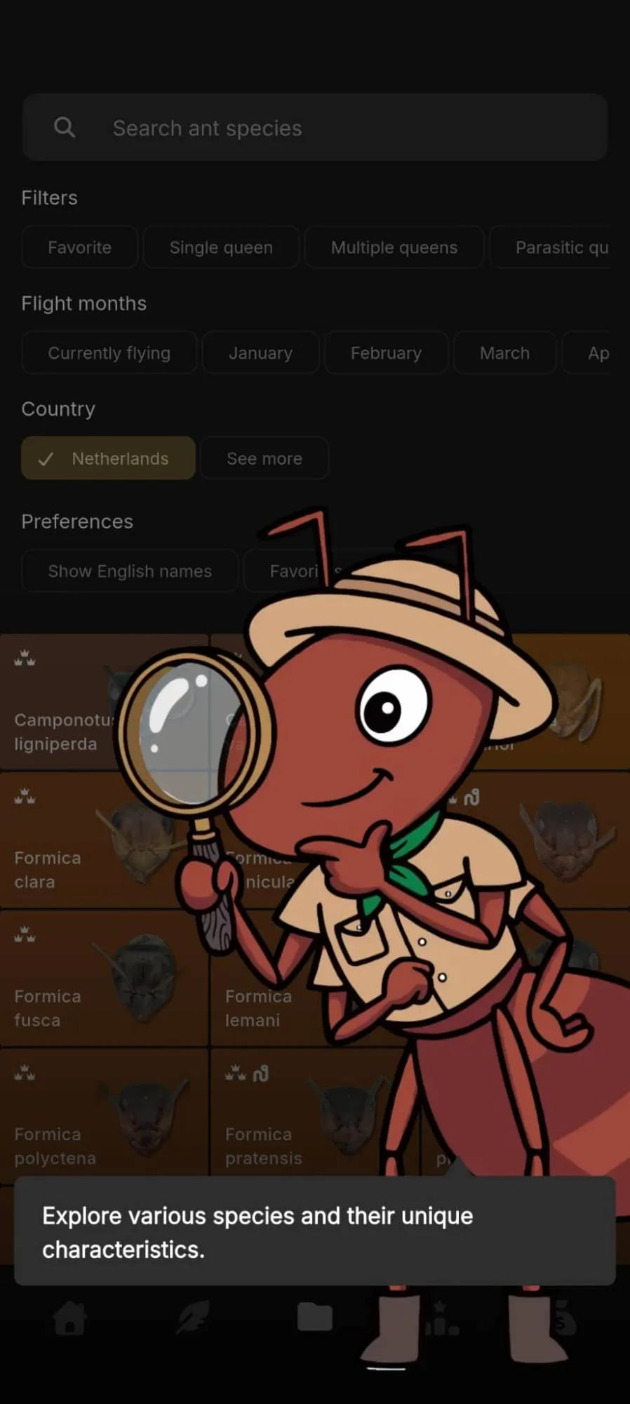 The AntScout app: browsing ant species