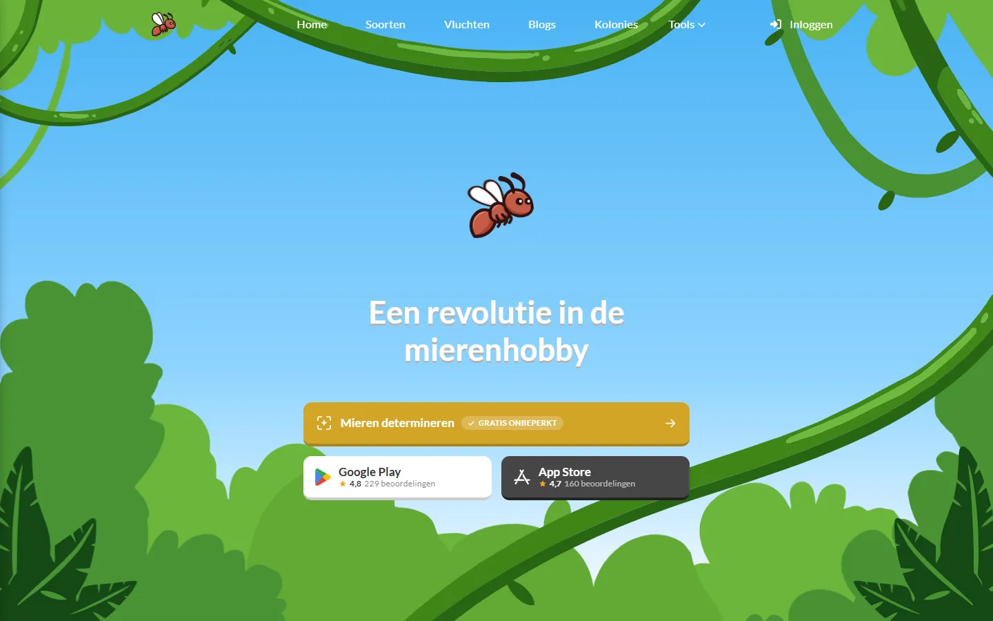 AntScout: A full ecosystem for ant keepers and myrmecologists, from a photo to a species name.